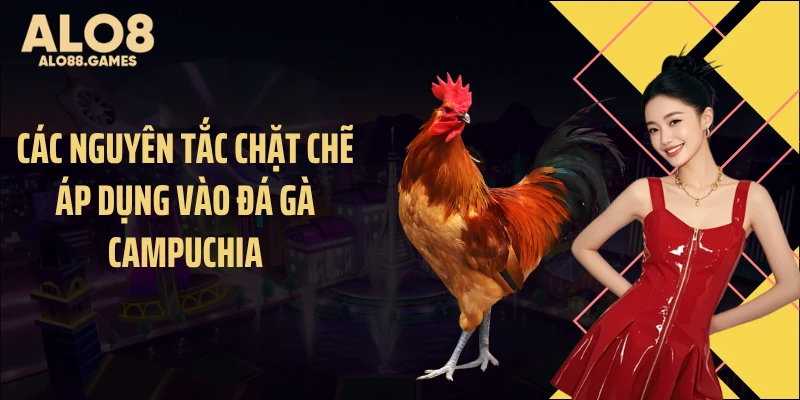 Các nguyên tắc chặt chẽ áp dụng vào đá gà Campuchia