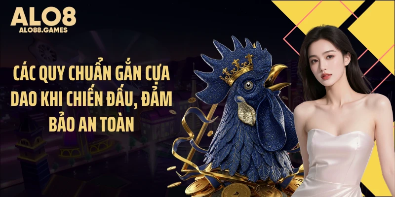 Các quy chuẩn gắn cựa dao khi chiến đấu, đảm bảo an toàn