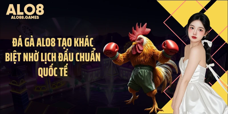 Đá gà ALO8 tạo khác biệt nhờ lịch đấu chuẩn quốc tế