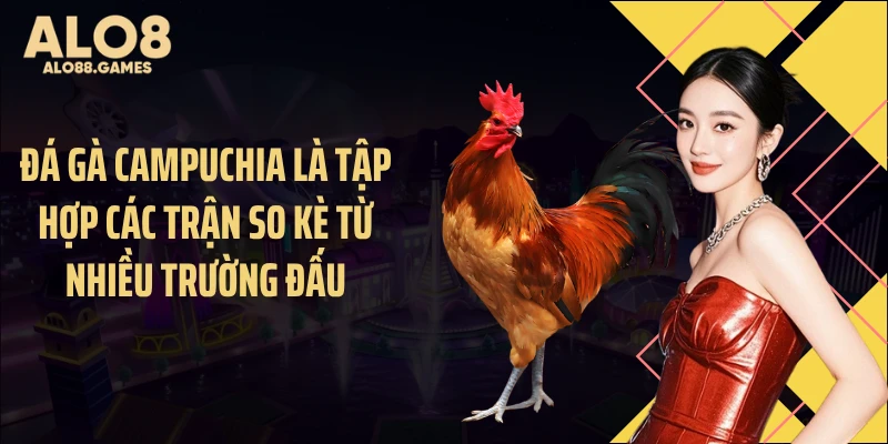 Đá gà Campuchia là tập hợp các trận so kè từ nhiều trường đấu