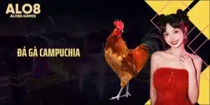 Đá Gà Campuchia Rực Lửa, Kèo Căng Khiến Người Xem Dậy Sóng 