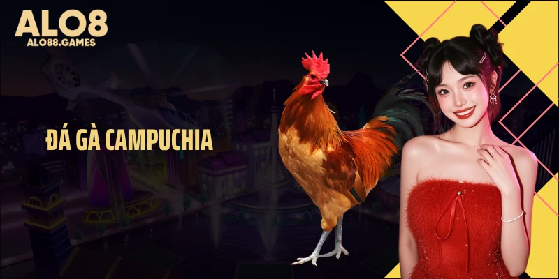 Đá Gà Campuchia Rực Lửa, Kèo Căng Khiến Người Xem Dậy Sóng 