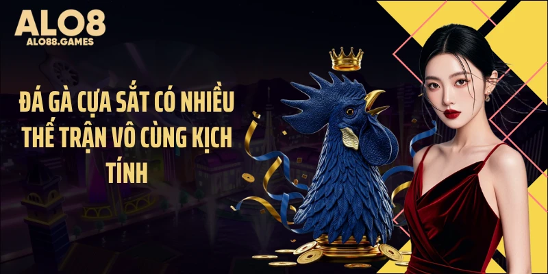 Đá gà cựa sắt có nhiều thế trận vô cùng kịch tính