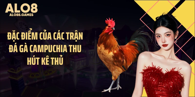 Đặc điểm của các trận đá gà Campuchia thu hút kê thủ
