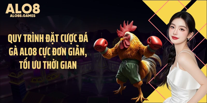 Quy trình đặt cược đá gà ALO8 cực đơn giản, tối ưu thời gian