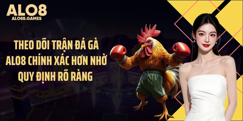 Theo dõi trận đá gà ALO8 chính xác hơn nhờ quy định rõ ràng 
