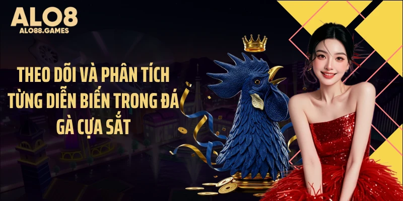 Theo dõi và phân tích từng diễn biến trong đá gà cựa sắt